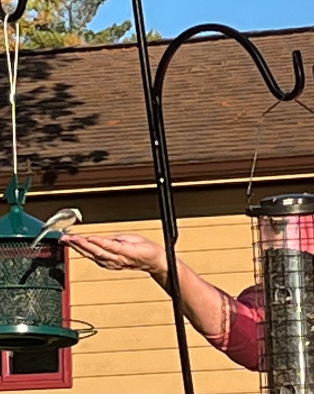 Our special Crane Cove guest has this bird literally eating out of the palm of her hand.